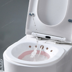 CE Test Toliet sạch Âm đạo di động v ghế hơi tắm cho phụ nữ ghế hơi yoni