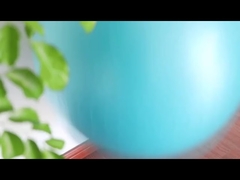 Bóng tập thể dục chống cháy nổ PVC 45cm có máy bơm không khí Bóng tập thể dục Thiết bị tập thể dục Bóng yoga